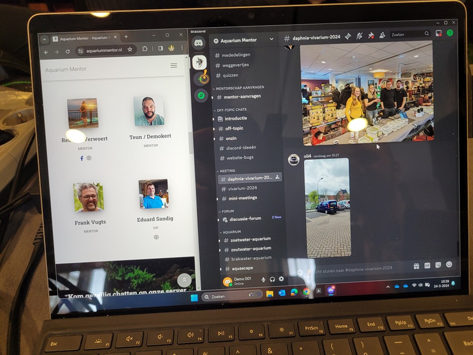 Discord Aquarium Mentor